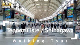 [4K/Binaural Audio] Tennozu Isle to Shinagawa Walking Tour - Tokyo Japan