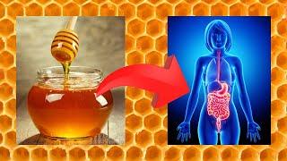 6 Benefits of eating Raw Honey / Importance of protecting bees @GrowthandWellness2171