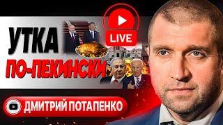 ️Пояс-путь ПУТИНА и мирный план Си - Потапенко. Операция в Секторе Газа. Скандальная ТЫСЯЧА #шелест