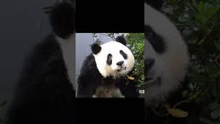 愿我们的宝贝福菀像一束光给人以力量和勇气 宝贝长大了
