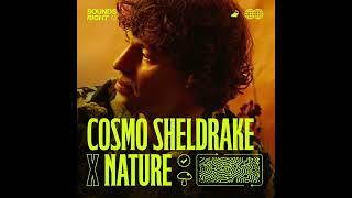 Cosmo Sheldrake - Soil ft. Nature