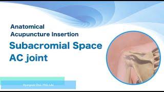 Anatomical Acupuncture insertion: Subacromial space, under AC joint, LI15