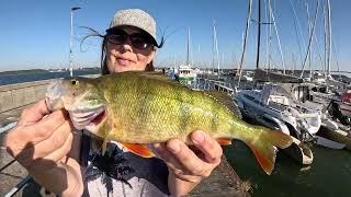 Räucher Dinner zu viert aber erst wird geangelt auf Raubfisch #ostsee #angeln #fishing #outdoors