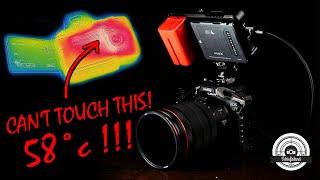 STOP. (CRIPPLE) HAMMERTIME – Canon EOS R6 Video Review