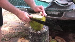 How to Open a Coconut