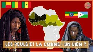 HORS-SERIE : Les Peuls et les Afars (Ethiopie) - Un lien ?