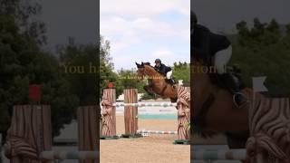  #horse #showjumping #equestrian #blowup #viral #fyp #shorts #shortsvideo #fypp #makethisgoviral