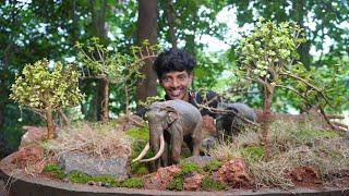 The elephants created this jungle | ഒരു കാട് ഉണ്ടാക്കിയപ്പോൾ  | Gardening