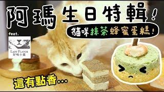 【黃阿瑪的後宮生活】阿瑪11歲生日特輯！貓吃的抹茶蜂蜜蛋糕？ft.好味小姐