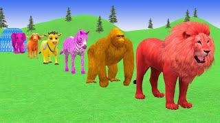 Paint & Animals Duck, Cow, Dog, Buffalo, Zebra Fountain Crossing Transformation Animal Games