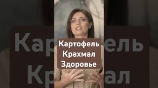 Миф: Картофель, крахмал и здоровье. Картофель полезен!?  #здоровье #Картошка #питание