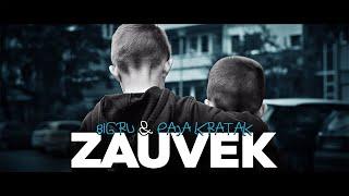 Bigru i Paja kratak - Zauvek! (VIDEO)