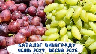 Каталог Максима Мойсеєнко 2024-2025 р.