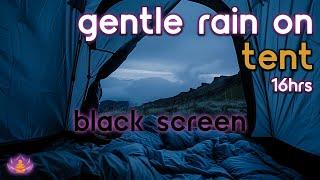 [Black Screen] Gentle Rain on Tent No Thunder | Rain Ambience | Rain Sounds for Sleeping