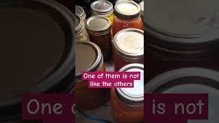 One of them are not like the others! Testing canning jars the next morning #canning