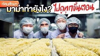 Every Step of MAMA Instant Noodles Production Line ! - TGC Field Trip