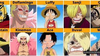 One Piece Characters That Look Identical