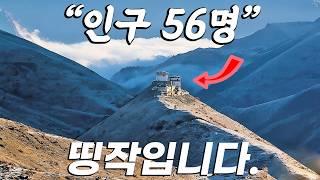 평점 9.8/10점. 이 영화로 2024년을 마무리합니다. [결말포함]