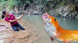 How to use bamboo pipes to fish, Harvested many wild giant goldfish, my daily life.