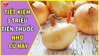 Củ Hành Tây Chữa Bệnh Gì? || 16 công dụng thần kỳ không ngờ của loại thực phẩm quen thuộc