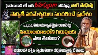 Power full Naga Sadhu |ఈయన భక్తలు ఇంత పెద్ధ రౌడీలా? | Devender Giri Maharaj #sreesannidhitv