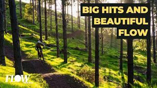 Have you ever ridden glued dirt? | Shredding Nannup WAs playground in the pines