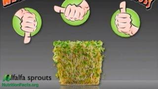 Don't Eat Raw Alfalfa Sprouts