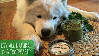 DIY All Natural Dog Toothpaste