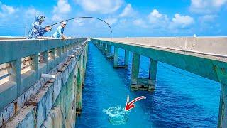 BEST Fishing Spot In The World? **Florida Keys Bridge Fishing**