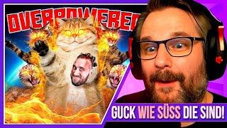 Katzen sind MASCHINEN! - Gronkh Reaction