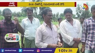 కష్టాల్లో పెద్ద పెండలం రైతు | Matti Manishi | 10TV News