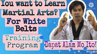Taekwondo Training Program for Beginners | Martial Arts | Self Defense