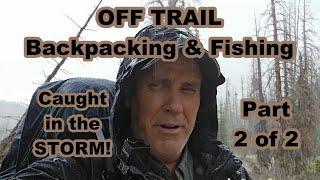 Solo Off Trail Backpacking & Fishing in the High Uintas of Utah, Part 2 of 2. #uintas #backpacking