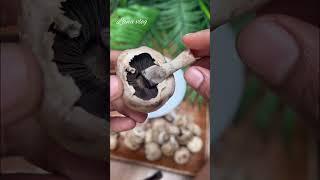 How to clean Mushrooms | #Shorts | | Cleaning Button Mushrooms!  Kitchen hack! | Tips