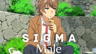 SIGMA RULE #44