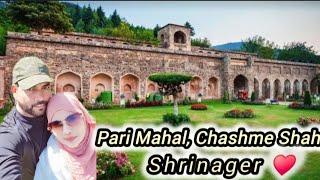 5 Famous Places To Visit In Srinagar Pari Mahal, Chashme Shahi etc...#Kashmir #viral #tourism