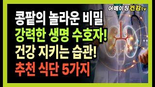 “작지만 강력한 생명 수호자! 콩팥의 경이로운 비밀”