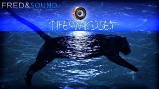 #STEREO THE WILD SEA by Fred & Sound Official Mix (Music/Sound Test)