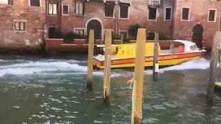 Ambulanza a Venezia in Emergenza e Sirena - Rettungs Boot Venedig | 2019