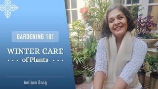 Gardening 101 | Do's & Don'ts - Winter Care of Plants | सर्दियों के पौधे - क्या करें क्या न करें