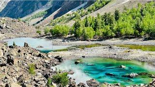 naltar valley | naltar valley road | blue lake naltar valley gilgit baltistan | Naveed Ahmad