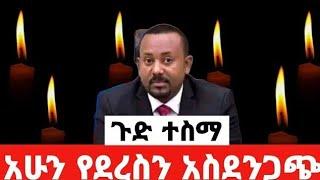 Breaking Ethiopia News NOW! : አሁን በኢትዮጵያ ውሰጥ እየተፈጸመ ያለው መረጃ | ethiopian news today 16 November 2024