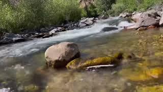 Grizzly Creek, Colorado hike