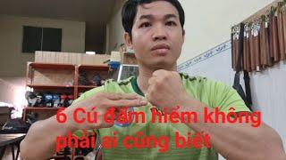 6 cú đấm hiểm không phải ai cũng biết_Toankungfu