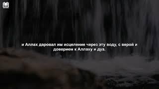 Четыре особенности благословенной воды Зам Зам - Шейх Абдурраззак аль Бадр #замзам