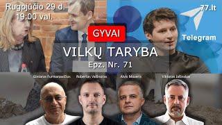 Vilkų taryba 71 -Telegram, Gausėjantis būrys norinčių būt ministrais pirmininkais, Palucko žemės.JAV