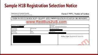 Sample H1B Registration Lottery Selection Notice from USCIS  - Filing Dates, Transfer, Validity Info