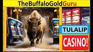 BUFFALO GOLD Bonuses and TWO FLASHBACK JACKPOTS!