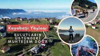 Karadenizdeki İnanılmaz Doğa | Bulutların Üzerinde Yaşam | Trabzon Kayabaşı Yaylası | Köy Hayatı