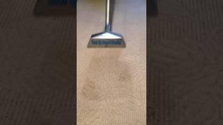 Professional Steam Carpet Cleaning Suds Up Carpet Cleaning Pasco County Florida 727-534-3332